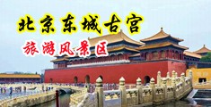 摸逼视频日本中国北京-东城古宫旅游风景区